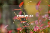 卡盟辅助低价货源