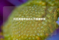 抖音直播伴侣怎么开直播教程