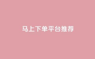 马上下单平台推荐 - 卡盟超低价小马梦