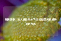 美国股市：三大股指集体下挫 特朗普关税威胁重创市场