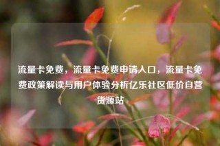流量卡免费，流量卡免费申请入口，流量卡免费政策解读与用户体验分析亿乐社区低价自营货源站