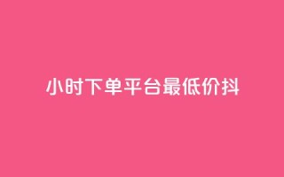 24小时下单平台最低价抖,QQ名片1w - dy24小时下单平台粉丝 - 彩虹货源站