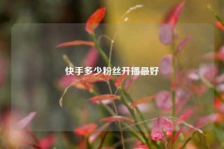 快手多少粉丝开播最好