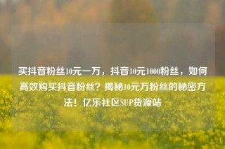 买抖音粉丝10元一万，抖音10元1000粉丝，如何高效购买抖音粉丝？揭秘10元万粉丝的秘密方法！亿乐社区SUP货源站