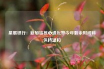 星展银行：新加坡核心通胀率今年剩余时间料保持温和