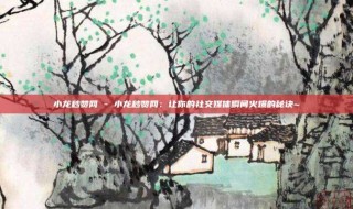 小龙秒赞网 - 小龙秒赞网：让你的社交媒体瞬间火爆的秘诀~