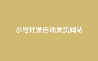 dy小号批发自动发货网站 - dy小号批发自动发货平台推荐~
