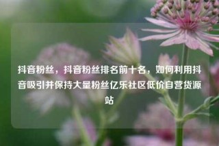 抖音粉丝，抖音粉丝排名前十名，如何利用抖音吸引并保持大量粉丝亿乐社区低价自营货源站