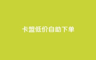 卡盟低价自助下单 - qq自助下单24小时平台