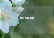 社区团购果蔬