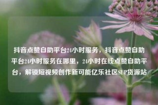抖音点赞自助平台24小时服务，抖音点赞自助平台24小时服务在哪里，24小时在线点赞自助平台，解锁短视频创作新可能亿乐社区SUP货源站