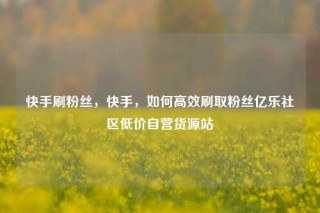 快手刷粉丝，快手，如何高效刷取粉丝亿乐社区低价自营货源站