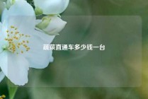 蔬菜直通车多少钱一台