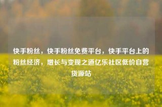 快手粉丝，快手粉丝免费平台，快手平台上的粉丝经济，增长与变现之道亿乐社区低价自营货源站