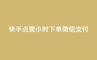 快手点赞24小时下单微信支付 - 高效便捷！快手点赞24小时内完成订单，支持微信支付！!