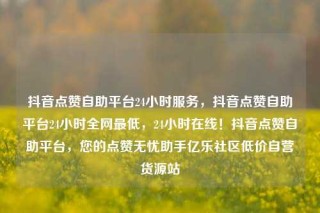 抖音点赞自助平台24小时服务，抖音点赞自助平台24小时全网最低，24小时在线！抖音点赞自助平台，您的点赞无忧助手亿乐社区低价自营货源站