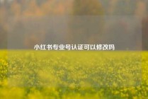 小红书专业号认证可以修改吗