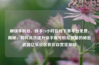 刷快手粉丝，快手24小时在线下单平台免费，揭秘，如何高效提升快手账号粉丝数量的秘密武器亿乐社区低价自营货源站