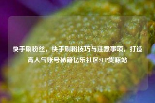 快手刷粉丝，快手刷粉技巧与注意事项，打造高人气账号秘籍亿乐社区SUP货源站