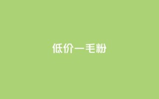 低价Ks一毛1000粉 - 低价Ks：1000粉只需1毛，请速来抢购！~