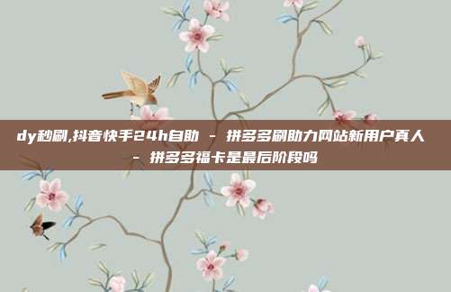 dy秒刷,抖音快手24h自助 - 拼多多刷助力网站新用户真人 拼多多福卡是最后阶段吗  第1张