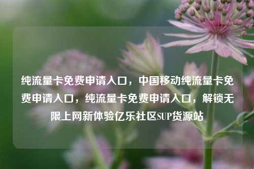 纯流量卡免费申请入口，中国移动纯流量卡免费申请入口，纯流量卡免费申请入口	，解锁无限上网新体验亿乐社区SUP货源站  第1张