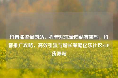 抖音涨流量网站	，抖音涨流量网站有哪些，抖音推广攻略，高效引流与增长策略亿乐社区SUP货源站  第1张