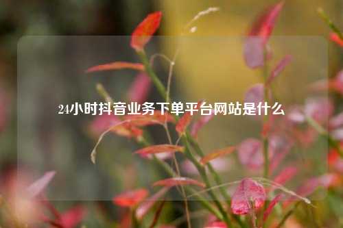 24小时抖音业务下单平台网站是什么  第1张