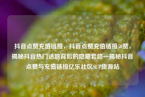 抖音点赞充值链接，抖音点赞充值链接50赞	，揭秘抖音热门话题背后的隐藏套路—揭秘抖音点赞与充值链接亿乐社区SUP货源站  第1张