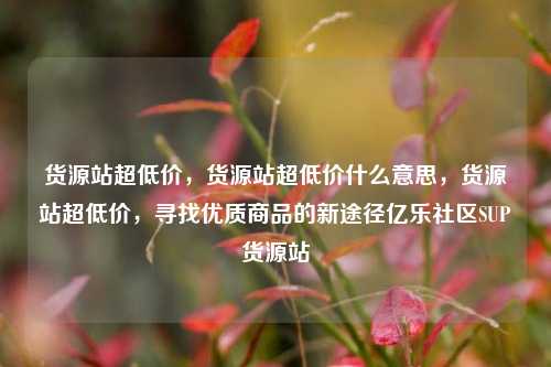货源站超低价，货源站超低价什么意思，货源站超低价，寻找优质商品的新途径亿乐社区SUP货源站  第1张