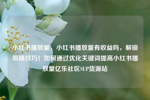 小红书播放量，小红书播放量有收益吗	，解锁吸睛技巧！如何通过优化关键词提高小红书播放量亿乐社区SUP货源站  第1张