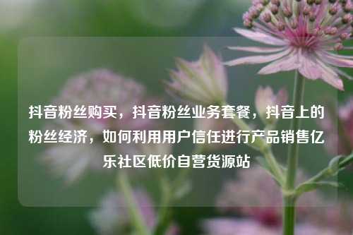 抖音粉丝购买，抖音粉丝业务套餐，抖音上的粉丝经济	，如何利用用户信任进行产品销售亿乐社区低价自营货源站  第1张