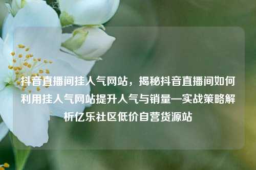 抖音直播间挂人气网站	，揭秘抖音直播间如何利用挂人气网站提升人气与销量—实战策略解析亿乐社区低价自营货源站  第1张