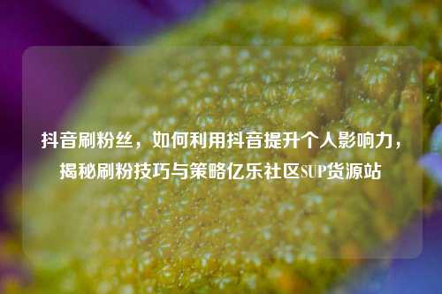 抖音刷粉丝	，如何利用抖音提升个人影响力，揭秘刷粉技巧与策略亿乐社区SUP货源站  第1张