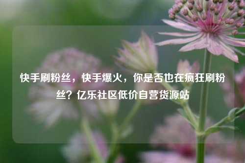 快手刷粉丝，快手爆火，你是否也在疯狂刷粉丝？亿乐社区低价自营货源站  第1张