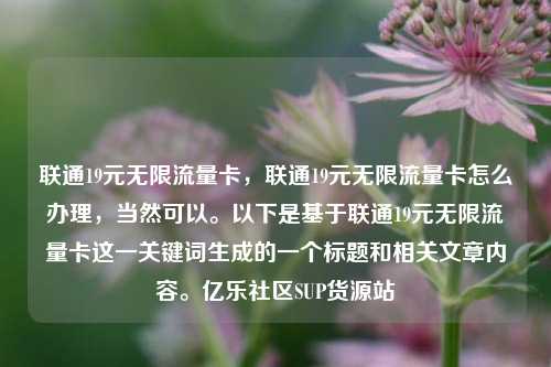 联通19元无限流量卡，联通19元无限流量卡怎么办理，当然可以。以下是基于联通19元无限流量卡这一关键词生成的一个标题和相关文章内容	。亿乐社区SUP货源站  第1张