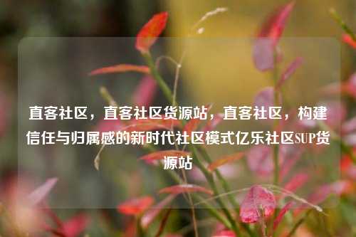 直客社区，直客社区货源站	，直客社区，构建信任与归属感的新时代社区模式亿乐社区SUP货源站  第1张