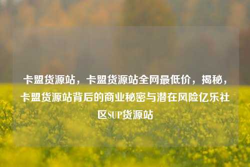 卡盟货源站	，卡盟货源站全网最低价，揭秘，卡盟货源站背后的商业秘密与潜在风险亿乐社区SUP货源站  第1张