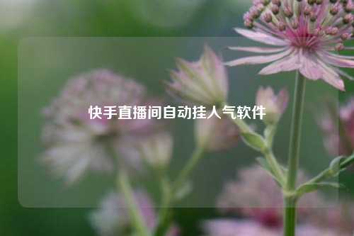 快手直播间自动挂人气软件  第1张