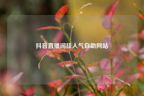 抖音直播间挂人气自助网站  第1张