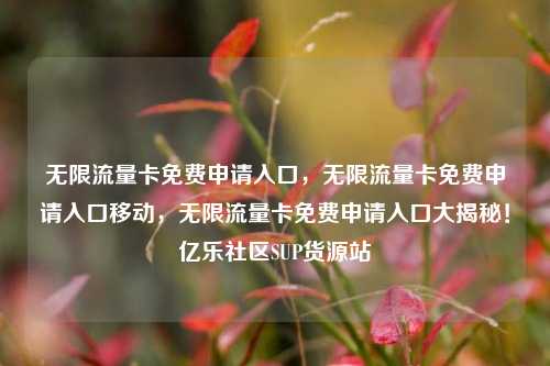 无限流量卡免费申请入口	，无限流量卡免费申请入口移动，无限流量卡免费申请入口大揭秘！亿乐社区SUP货源站  第1张