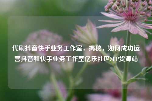 代刷抖音快手业务工作室，揭秘，如何成功运营抖音和快手业务工作室亿乐社区SUP货源站  第1张