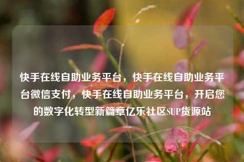 快手在线自助业务平台，快手在线自助业务平台微信支付，快手在线自助业务平台	，开启您的数字化转型新篇章亿乐社区SUP货源站  第1张