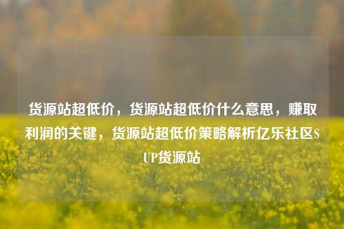 货源站超低价，货源站超低价什么意思	，赚取利润的关键，货源站超低价策略解析亿乐社区SUP货源站  第1张