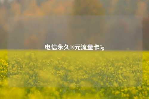 电信永久19元流量卡5g  第1张