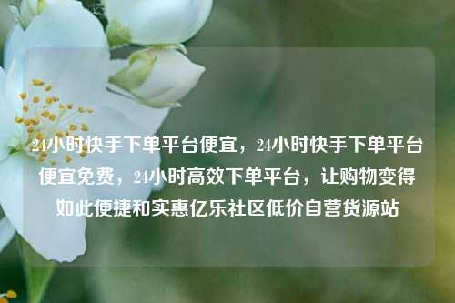 24小时快手下单平台便宜，24小时快手下单平台便宜免费，24小时高效下单平台	，让购物变得如此便捷和实惠亿乐社区低价自营货源站  第1张