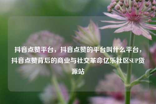 抖音点赞平台，抖音点赞的平台叫什么平台，抖音点赞背后的商业与社交革命亿乐社区SUP货源站  第1张