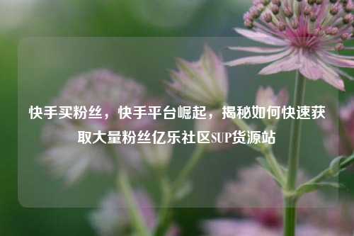 快手买粉丝	，快手平台崛起，揭秘如何快速获取大量粉丝亿乐社区SUP货源站  第1张