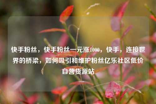 快手粉丝	，快手粉丝一元涨1000，快手，连接世界的桥梁，如何吸引和维护粉丝亿乐社区低价自营货源站  第1张