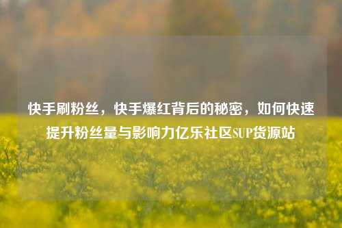 快手刷粉丝	，快手爆红背后的秘密，如何快速提升粉丝量与影响力亿乐社区SUP货源站  第1张